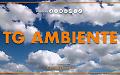 Tg Ambiente - 28/9/2025