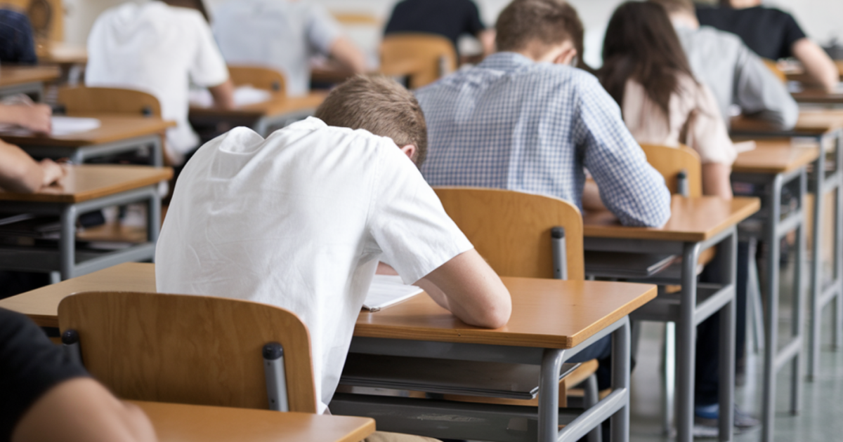 Bocciato alla maturità fa ricorso e lo vince: esame da rifare per uno