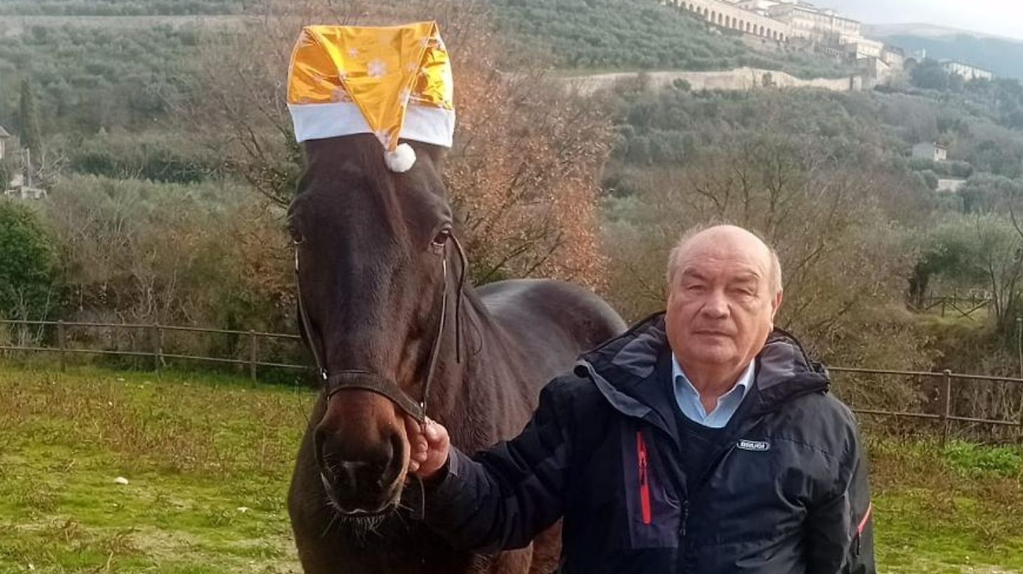 Lettera appello di un allevatore: "Regalateci un futuro sereno"