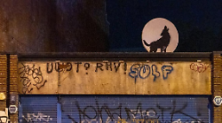 Banksy, nuova opera rubata dopo solo un'ora. Era un lupo raffigurato su una parabola satellitare di Londra