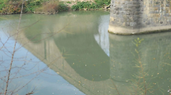 Morto nel fiume Tevere a Perugia. Il ritrovamento di due pescatori: "Stavamo camminando quando abbiamo visto il cadavere"