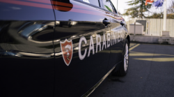 Neonato morto trovato nel giardino di una casa all'interno di un sacchetto. Giallo a Parma: indagano i carabinieri