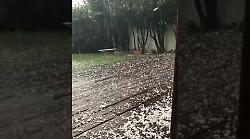 Perugia, grandine come neve. Violenta precipitazione in diverse zone della provincia. Possibili danneggiamenti ad auto e piantagioni. Il video