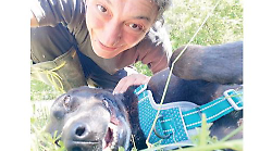Umbria, cane adottato dopo otto anni in canile: la bella storia d'amore tra Silvia e Falda
