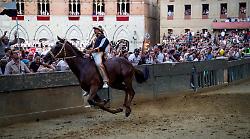 La Lupa vince il Palio dell'Assunta, trionfa Dino Pes su Benitos