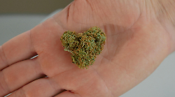 Spello, trovato con la droga a bordo di una minicar: sequestrati hashish e marijuana. Denunciato giovane di 17 anni