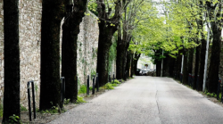 Perugia, partono i lavori via Faina: scatta il divieto di transito e di sosta per il ripristino del manto stradale. Le date