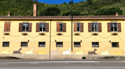 Verso il G7 sulle disabilit&agrave;, il progetto Le Pecore gialle a Spoleto: fattoria inclusiva come opportunit&agrave; di formazione