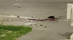 Foligno, aggrediscono un uomo a colpi di spranga in centro. Denunciati quattro uomini responsabili della rissa