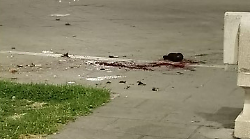 Foligno, pestato a sangue in piazza Matteotti: picchiato con calci e bottigliate. Arrestate quattro persone