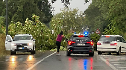 Narni, danni per il maltempo in via Tuderte: albero crolla in mezzo alla strada e blocca le auto. Disagi al traffico