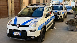 Città di Castello, investe e uccide un cane poi si allontana con l'auto. Uomo denunciato per la morte dell'animale