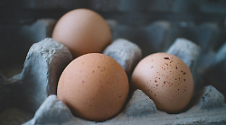 Uova contaminate da salmonella ritirate dai supermercati: l'allerta del ministero della Salute. Ecco i lotti interessati