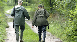 Sospensione della caccia in Umbria, il Tar boccia il ricorso delle associazioni venatorie: prioritaria la salvaguardia della biodiversità