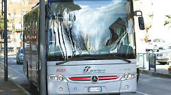 Umbria, Bori e Meloni sui prezzi del trasporto scolastico: "A Perugia l'abbonamento più costoso d'Italia"