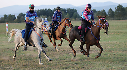 Endurance equestre, Costanza Laliscia in sella a Zagara di Chia conquista l'oro nella prova generale dell'Europeo 2025