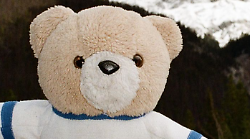 Perugia, è in vacanza dal Regno Unito e gli svaligiano l'auto. Il turista: "Hanno il peluche che ho da quando sono nato. Aiutatemi"