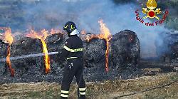 Orvieto, incendio in un campo: divorate dalle fiamme decine di rotoballe