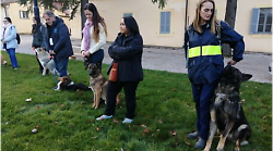 Umbria, bocconi avvelenati: nascono unità cinofile specializzate per proteggere animali e persone 