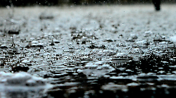 Allerta meteo nella giornata per domenica 19 gennaio 2025: piogge e temporali in arrivo su diverse regioni