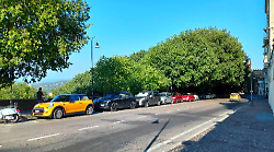 Perugia, scatta la manutenzione degli alberi in viale Indipendenza: il Comune spende 100 mila euro per la potatura