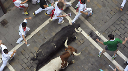 Morta donna di 60 anni incornata da un toro a Valencia: il video shock dello scontro