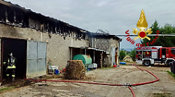 Castiglione del Lago, incendio in una stalla: i vigili del fuoco salvano gli animali dalle fiamme