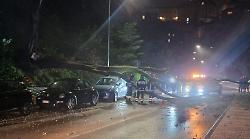 Il maltempo colpisce Perugia: rami caduti e alberi sradicati in mezzo alla strada. I danni causati della forti piogge