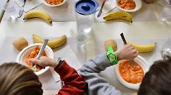 Casi di salmonella nelle scuole di Bastia Umbra. Mense sospese in asili nido, materne ed elementari