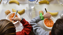 Salmonella, il servizio mensa della scuola verso il ripristino dopo la sanificazione. Il Comune: "Ad oggi i casi di intossicazione sono 33" 