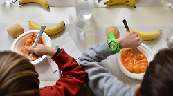 Casi salmonella nelle scuole d'infanzia di Bastia Umbra, la Usl riapre il servizio mensa: ecco quando