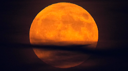 Il cuore verde si prepara alla luna pi&ugrave; grande dell'anno: quando e dove vederla