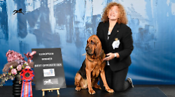 Todi, il cane Valery incanta al campionato europeo: la padrona Laura Benedetti e la sua bloodhound trionfano