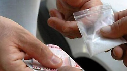 Nasconde le dosi di cocaina pronte per lo spaccio sotto un albero: 21enne arrestato dalla polizia
