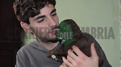 Morte Samuele De Paoli, spuntano altre foto shock del cadavere e nuove ferite