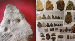 Cortona, gli avi dell'Homo Sapiens vivevano in Valdichiana. Trovati reperti, la nuova teoria