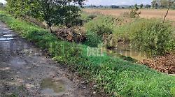 Castiglione del Lago, al lavoro per ripulire il canale Anguillara 