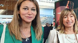 Archiviata l'inchiesta sulla presidente Tesei e l'assessore Agabiti