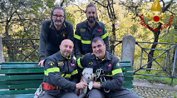 Spoleto, un cane pastore maremmano cade in un dirupo di 10 metri. Il cucciolo King salvato dai vigili del fuoco