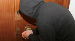Ladri senza pietà a Perugia: rubati anche quattro cani da caccia. Il proprietario: "Ricompensa per chi li ritrova"