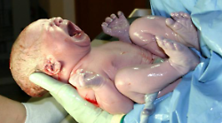 Appello per l'ostetrica di 96 anni che chiede di conoscere i bambini che ha fatto nascere all'ospedale di Arezzo