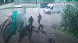 Assalto alla ditta di argento, le foto del commando in azione alla Croma Catene