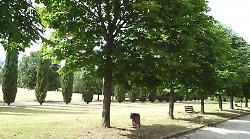 Perugia, due sedicenni puntano il coltello e rapinano un gruppo di minorenni al parco Chico Mendez: denunciati