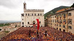 Ecco qual è la parola più cercata su Google nel 2024: cosa fare a Gubbio al centro delle ricerche degli italiani