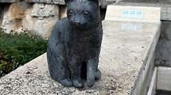 Terni, una statua ad Amelia in ricordo della gatta Tea: accoglieva turisti ed era amata da tutti