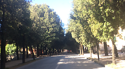 Gubbio, in arrivo un progetto di riqualificazione per viale della Rimembranza 