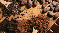 Ferrero, chi è il titolare dell'azienda attenta alla sostenibilità. Focus con Farwest sulla qualità del cioccolato e la sua provenienza stasera in tv su Rai 3