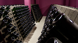 Bollicine dell'Umbria anche in Giappone e Thailandia: vitigni autoctoni e qualità, ecco le bottiglie che conquistano il mercato per il brindisi al 2025