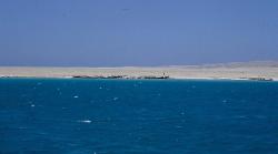 Squalo attacca due turisti italiani in Egitto nella spiaggia di Marsa Alam: uno è morto