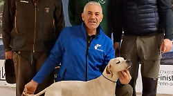 Citt&agrave; di Castello, il tifernate Fabrizio Baloci e Tor sul podio in Francia nella categoria pointer a beccacce